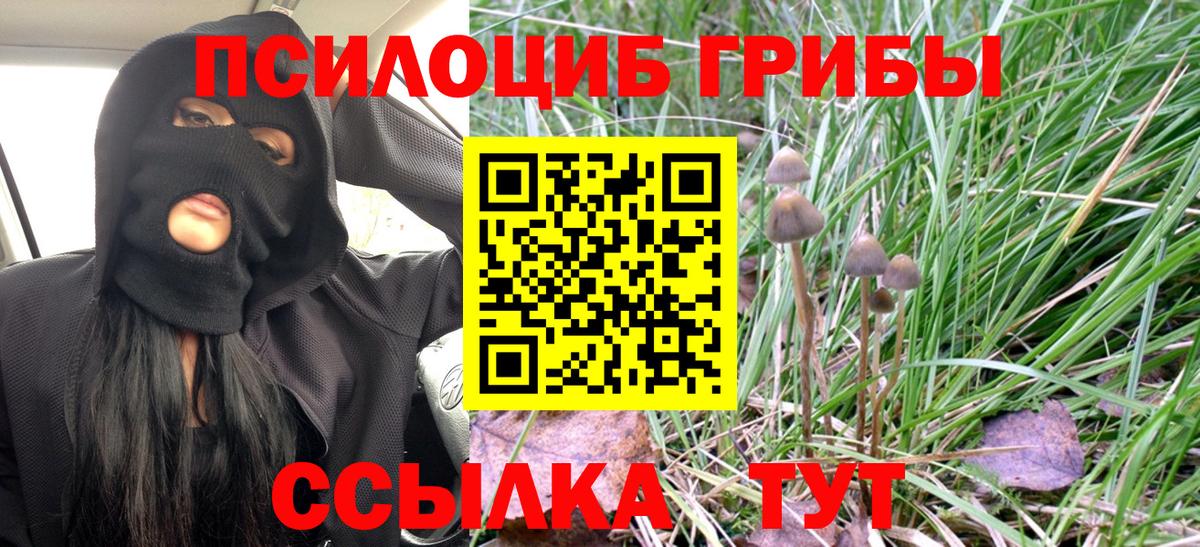 Псилоцибиновые грибы Psilocybine cubensis  Вход с VPN  Галлюциногенные грибы Cubensis  Ростов Великий 